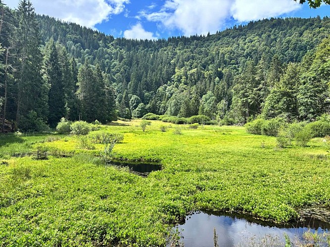 Etappenwandern - Die große Tour durch das Tal - Etappe 4