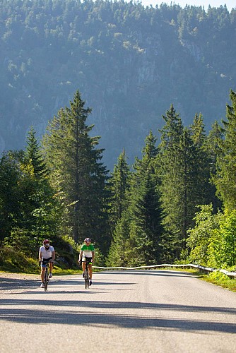 Cycling tour -  Kaysersberg  Aubure