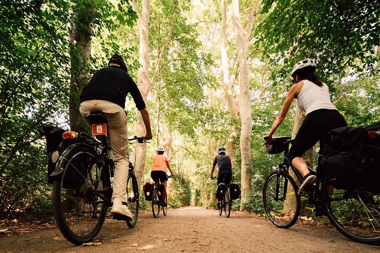 BR10 Cycling Across Borders - Hardt forest