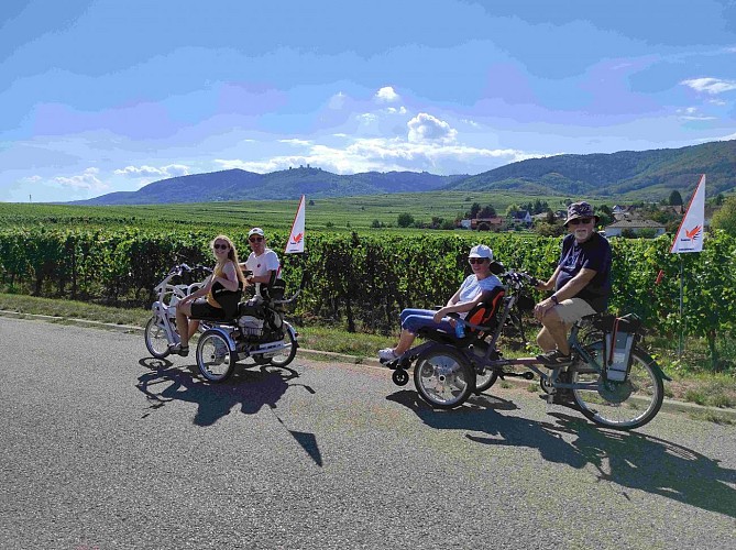Cycling in Alsace - Bicycle tour of the vineyards around Colmar