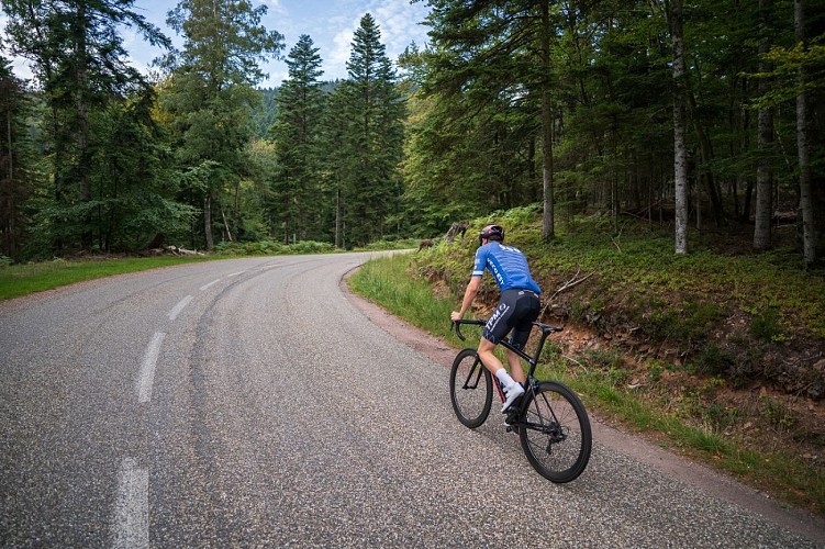 8.Circuit des Monts - Gravel