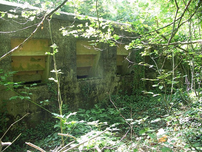 Bunker trail
