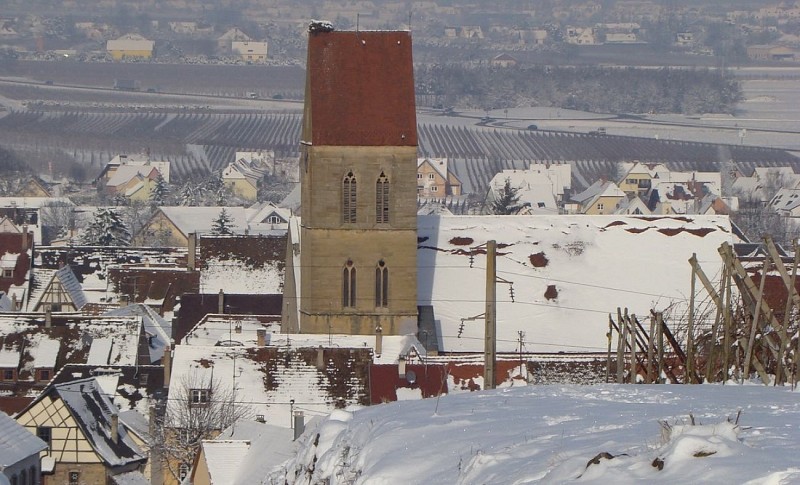 Weinlehrpfad von Eguisheim