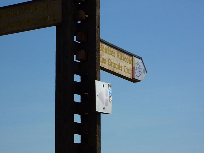 Sentier viticole des Grands Crus - Mittelwihr