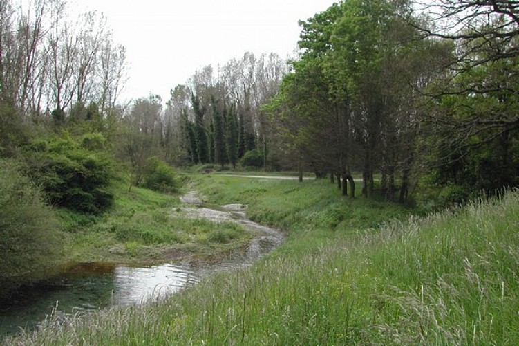 The Rhine footpath