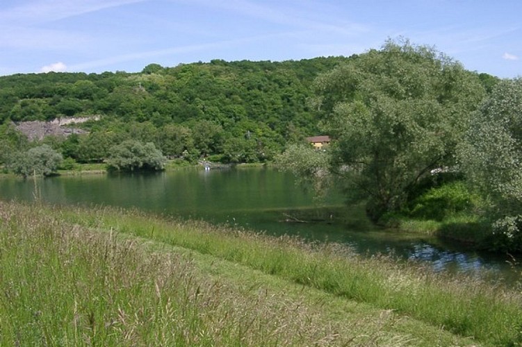 The Rhine footpath