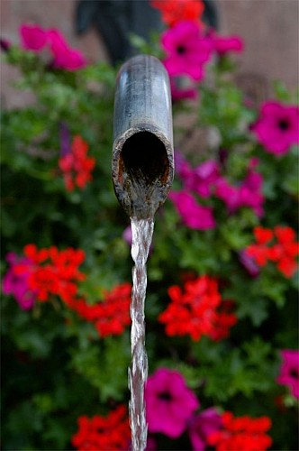 L'eau de la fontaine Saint_Jean_Baptiste de Wattwiller