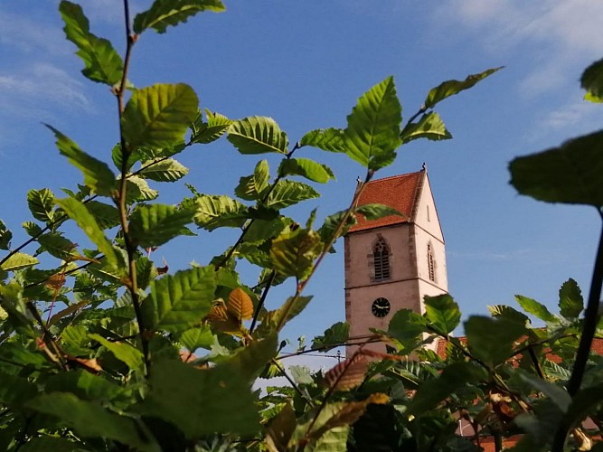 L'église Saint_Jean_Baptiste de Wattwiller