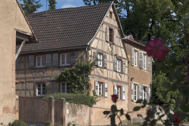 Sentier : à la découverte du village de Gougenheim