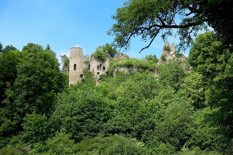 Château du Morimont