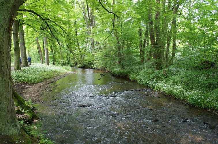 Circuit course à pied Sentier de l'Ehn