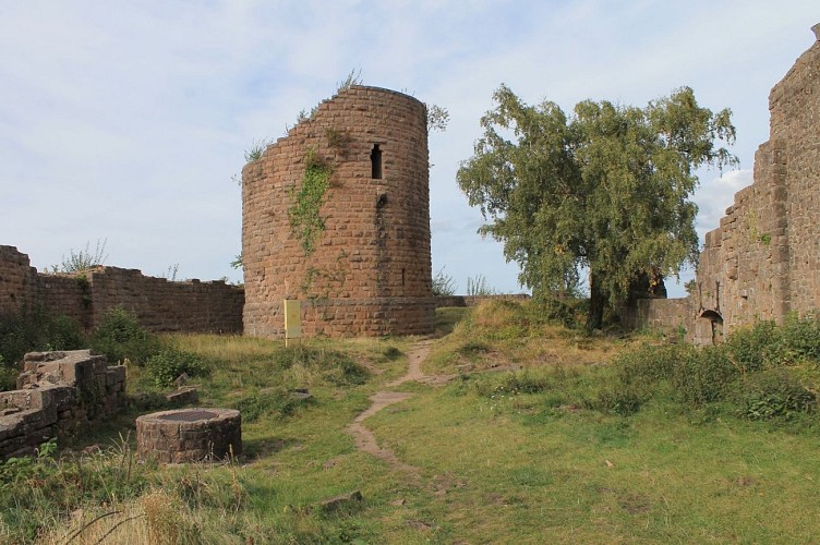 Ruines du Frankenbourg