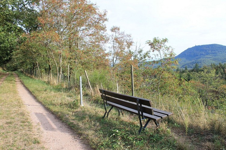 Banc au bord du chemin menant au Heyriseck depuis La Vancelle