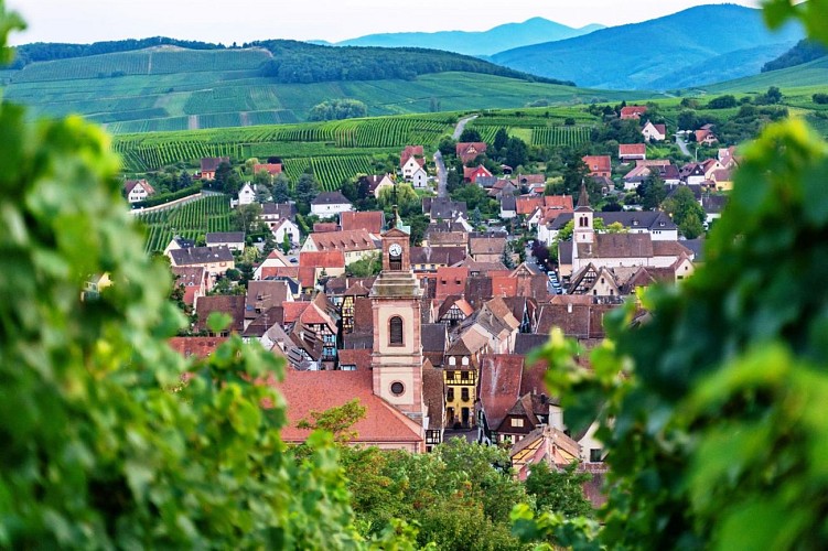 Weinlehrpfad Géovino - Die Felsen - Riquewihr