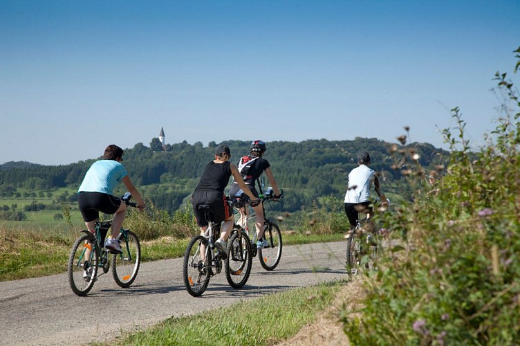 Family cycling tour through Alsace Bossue