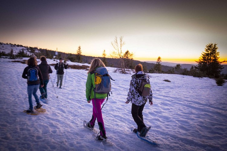 Snowshoe trail CDF03: From Struthof to Champ du Messin