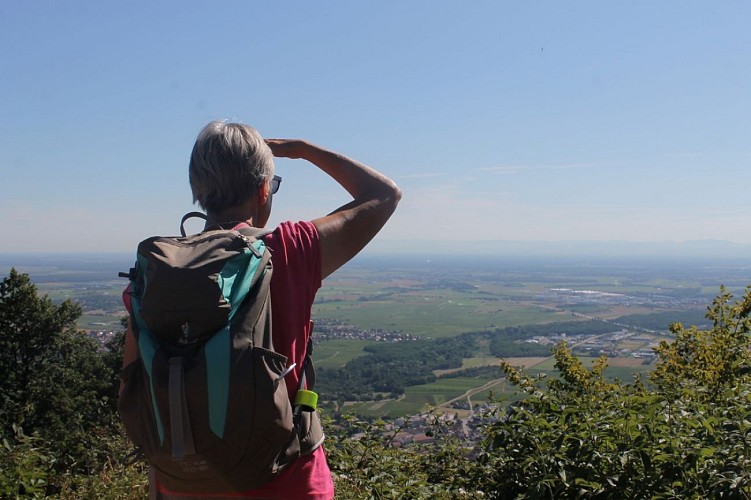 Rundwanderung - zum Hahnenberg