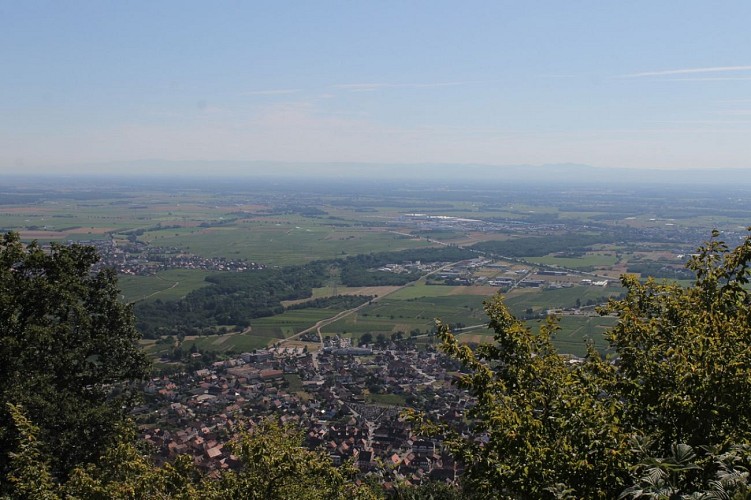 Rundwanderung - zum Hahnenberg