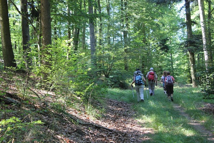 Rundwanderung - zum Hahnenberg