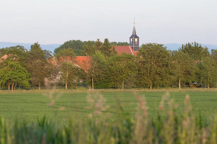 Entre chapelle et houblon à Mittelhausen