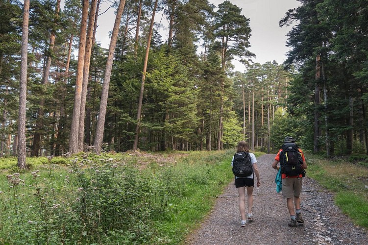 Circuit randonnée des Rochers