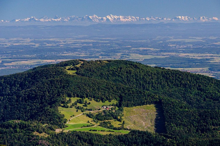 Vue sur le Molkenrain et la Plaine d'Alsace