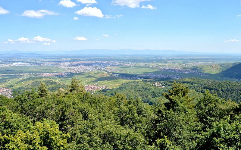 Rundwanderweg - Ammerschwihr Den Meywihr