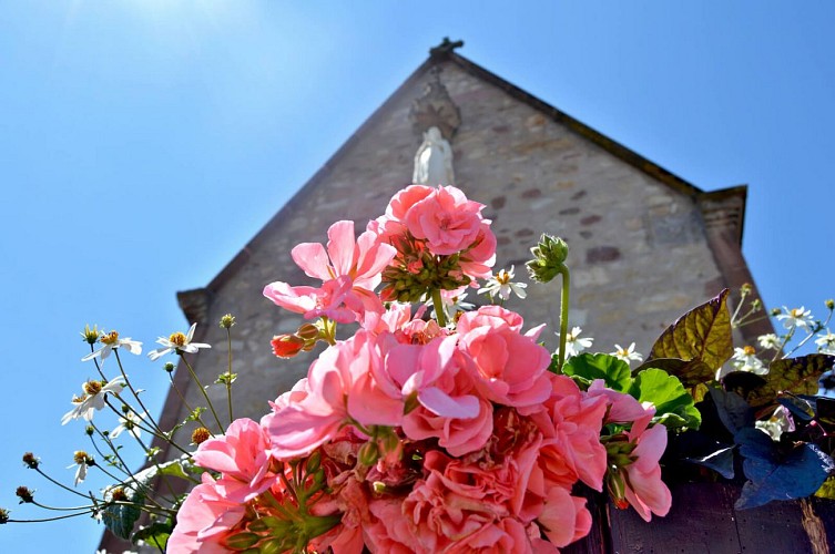Rundwanderweg - Ammerschwihr Den Meywihr