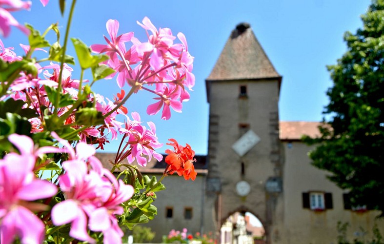 Rundwanderweg - Ammerschwihr Den Meywihr
