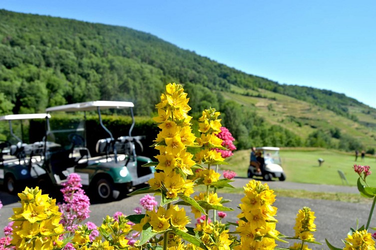 Hiking tour - Ammerschwihr The Meywihr