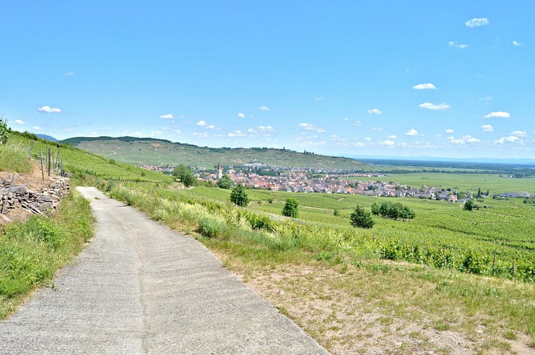 Hiking tour - Ammerschwihr The Meywihr