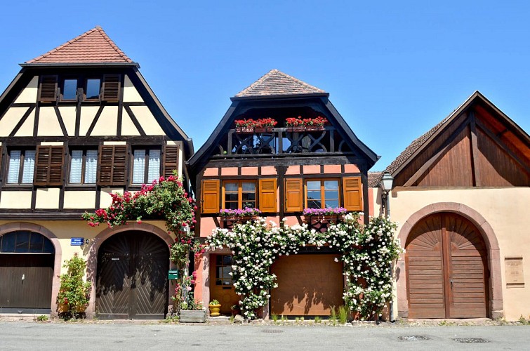 Hiking tour - Ammerschwihr The Meywihr