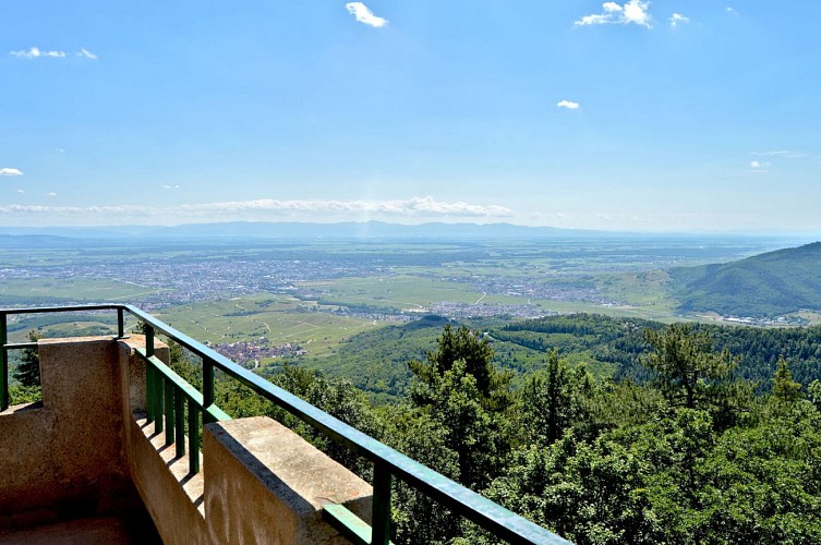 Circuit rando - d'Ammerschwihr au sommet du Galtz