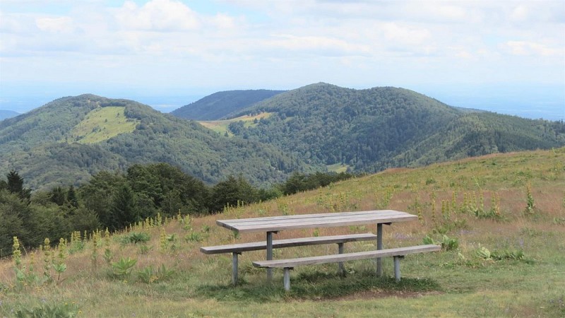 Wanderung : Chaumes Langenberg und Wissgrut