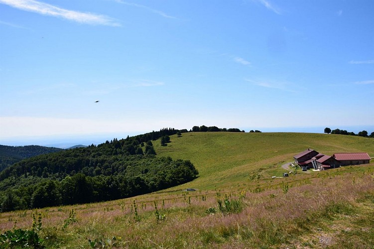 ©Ferme auberge du Wissgrut