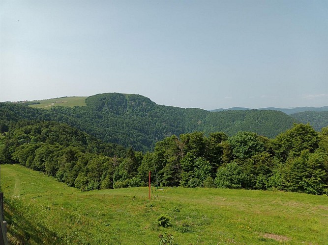 Vue sur le Ballon d'Alsace