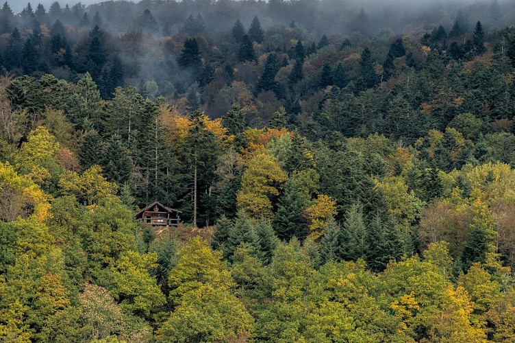 Wanderweg vom Chalet Wasserfall Schahling Hütte