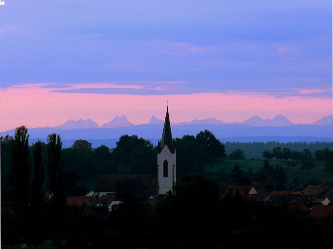Vue sur Hartmannswiller