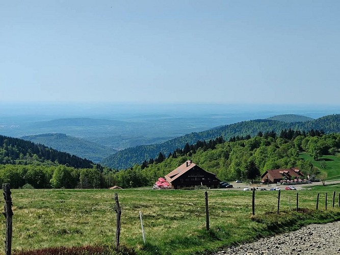 Entdeckungspfad bei Ballon d'Alsace
