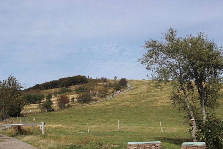 Discovery trail circuit at Ballon d'Alsace
