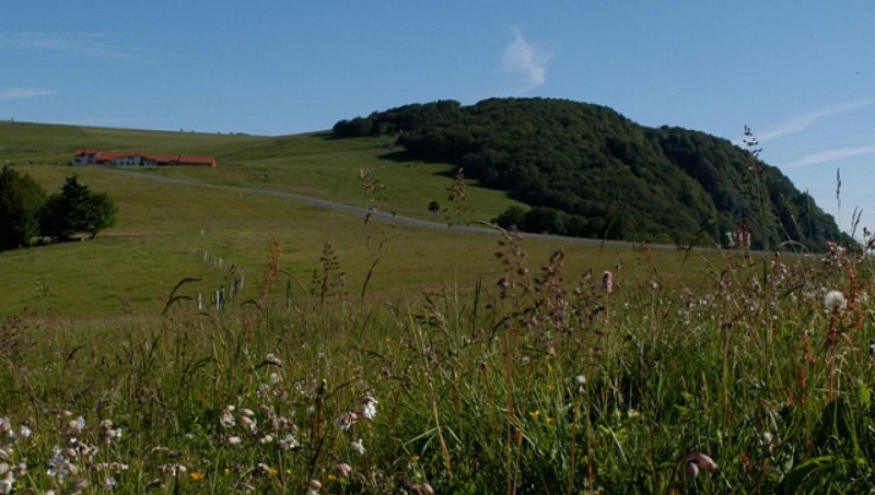 Discovery trail circuit at Ballon d'Alsace
