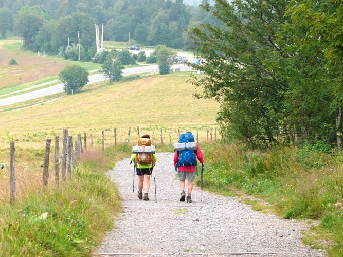 Discovery trail circuit at Ballon d'Alsace