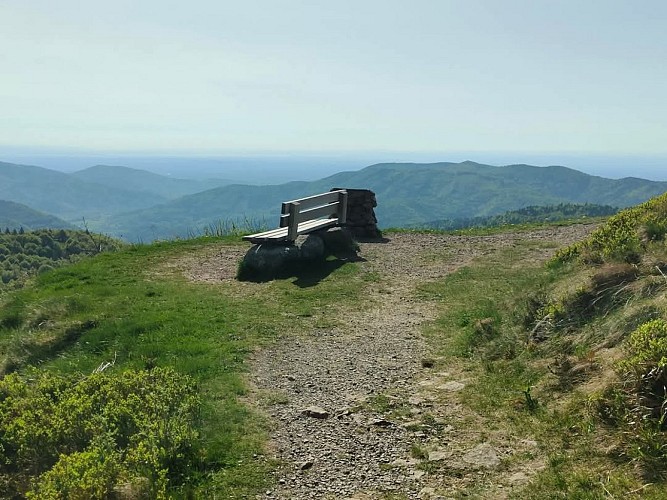 Discovery trail circuit at Ballon d'Alsace