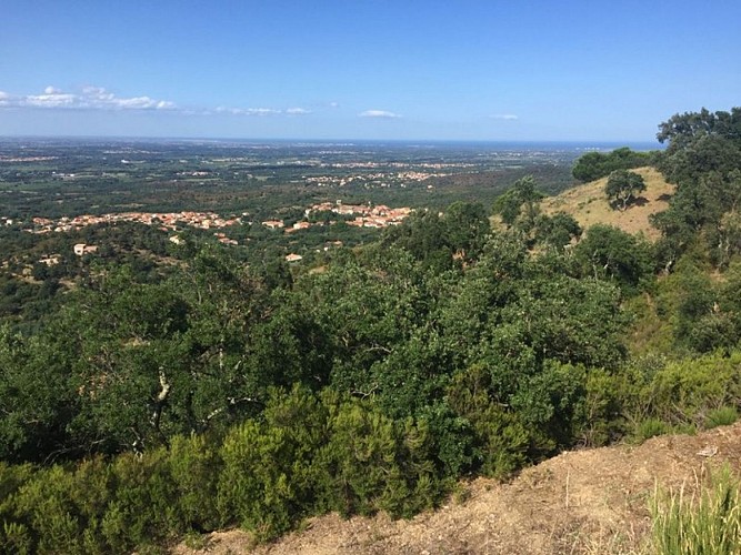 Camino botánico de Montesquieu n°2