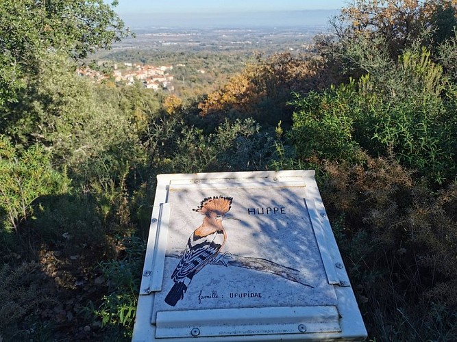 Camino botánico de Montesquieu n°2