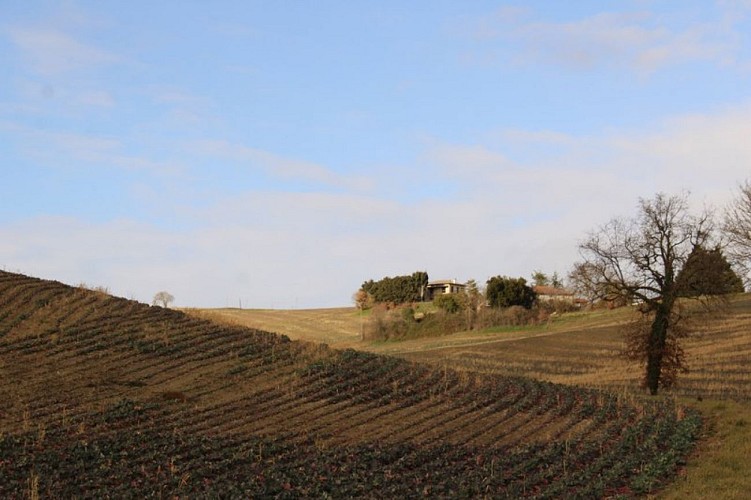 Fabas "Sentier de Saint-Pé-d'Arès"