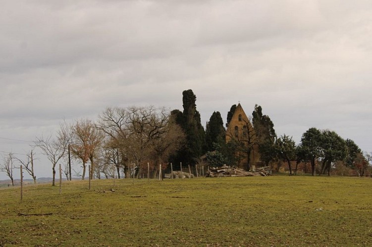 Fabas "Sentier de Saint-Pé-d'Arès"