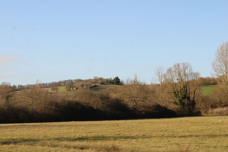 Fabas "Sentier de Saint-Pé-d'Arès"