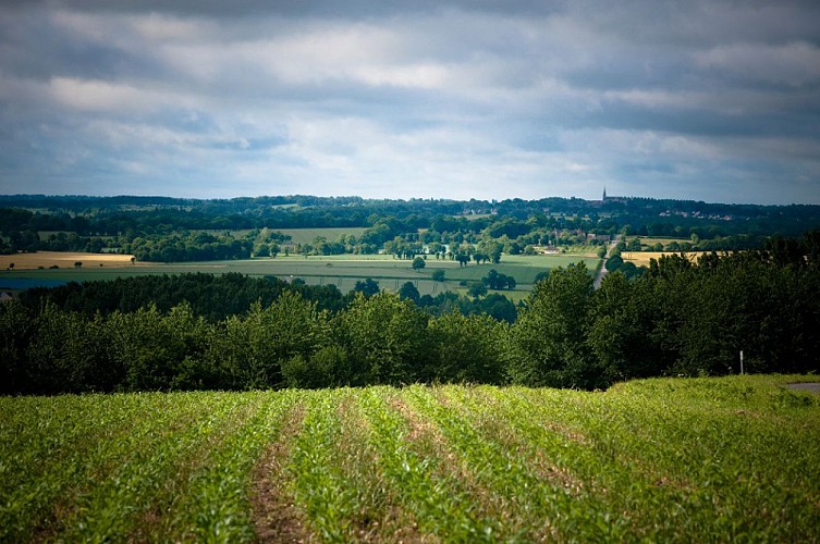 Paysage-stenphoto.fr