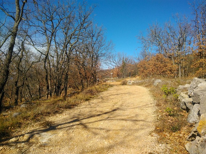 Piste "difficile" ! Parfois, on rencontre un troupeau en déplacement (zoomez)